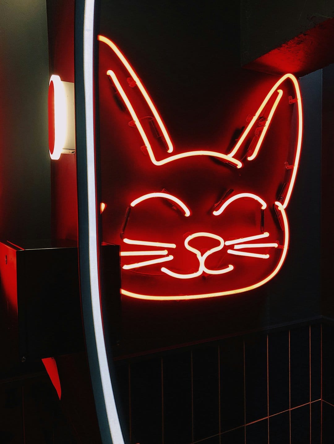 Red neon cat face outline with closed eyes and whiskers glows next to vertical white LED light bars on a dark wall.