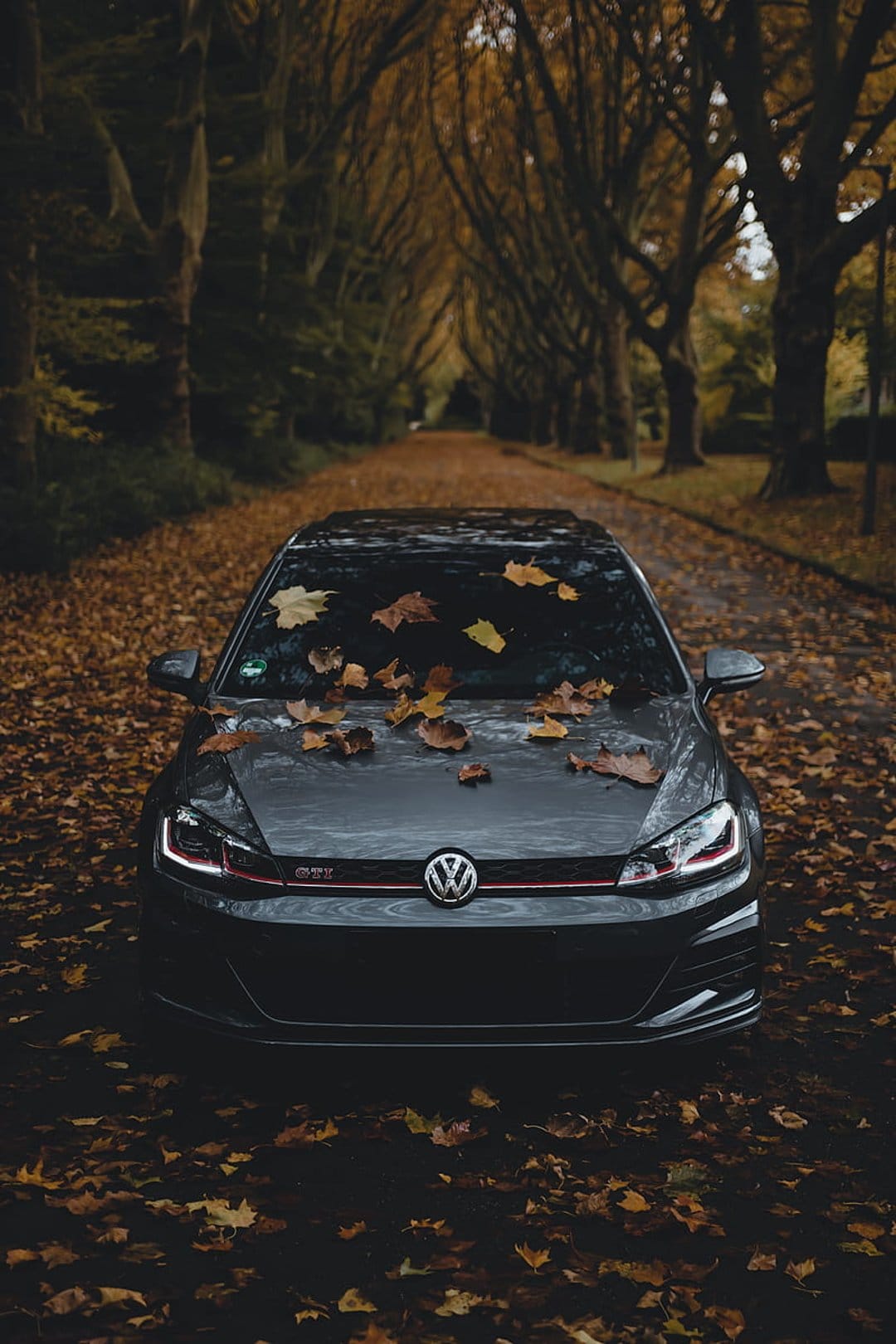Dark Volkswagen GTI with orange autumn leaves on its hood parked on a misty tree-lined road in fall.