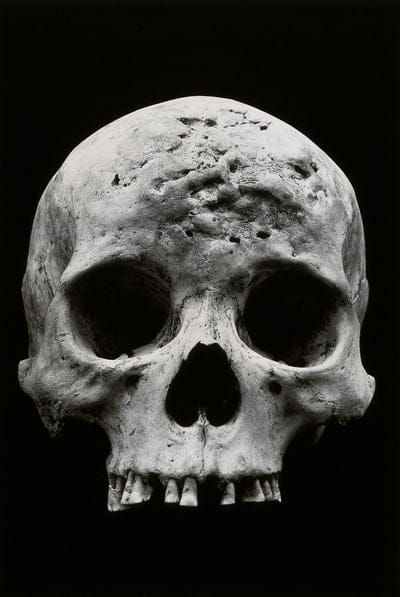 Skull  wallpaper,Skull  background,danger sign wallpaper,skull desktop wallpaper,iPhone Skull  walpaper