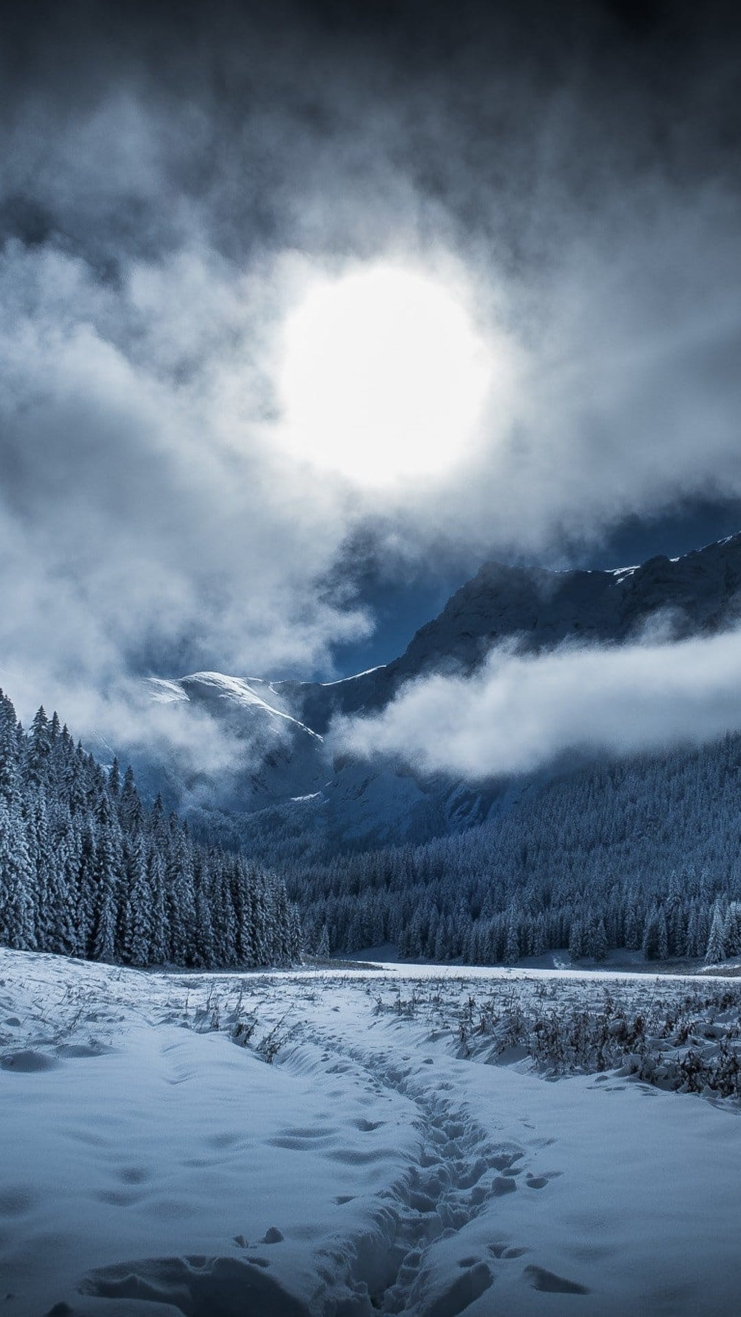 Snow-dusted path leading through a valley of evergreen trees and jagged mountain peaks under a hazy winter sun.