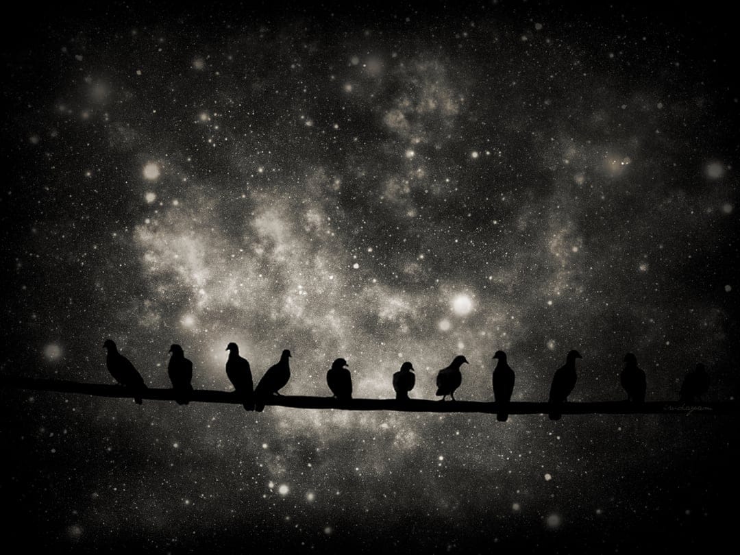 Pigeons perched on a wire form dark silhouettes against a grainy, purple-toned starry night sky and nebula.