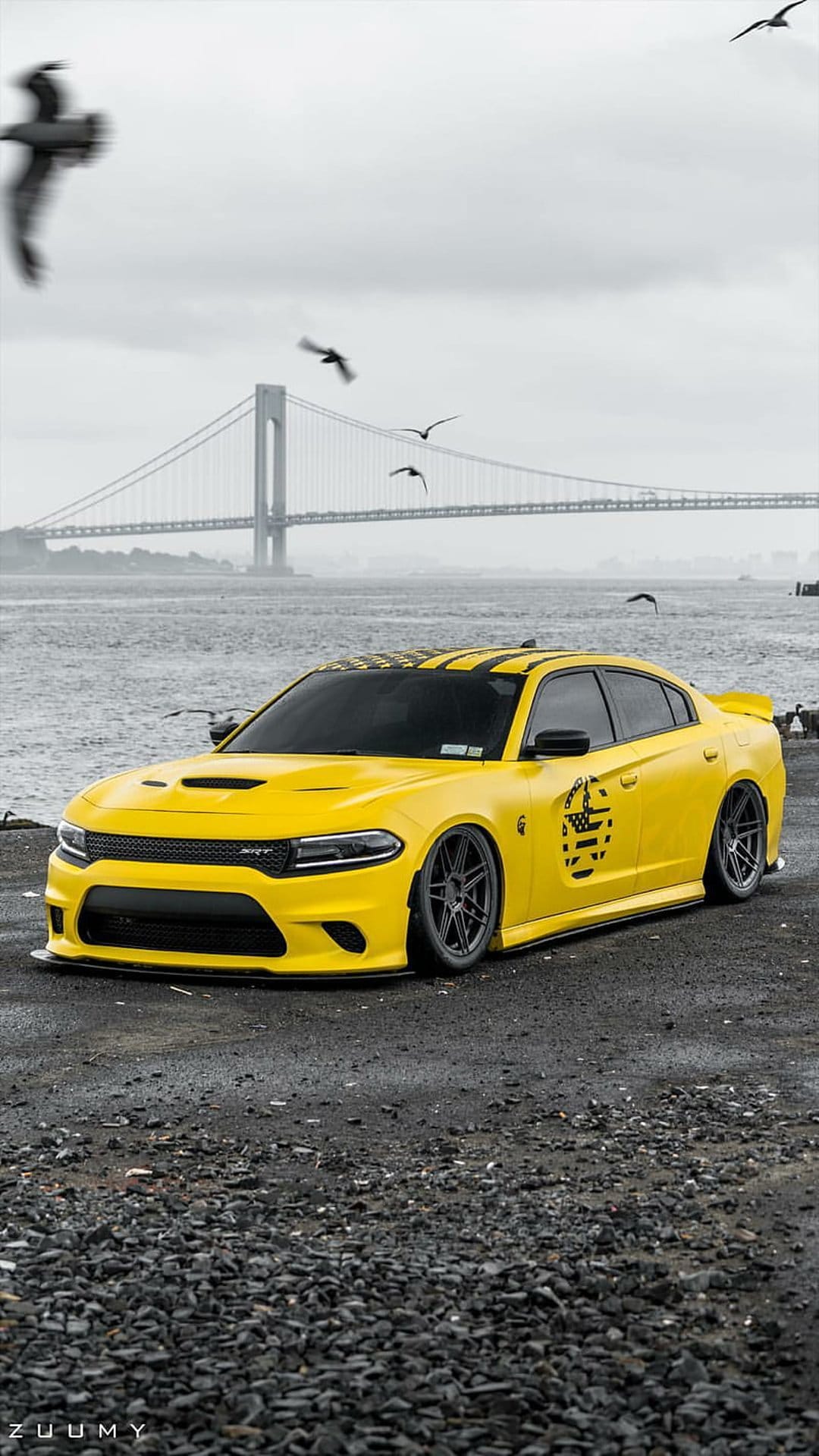 Yellow Dodge Charger with racing stripes on a rocky shore with a bridge and flying birds in the background.