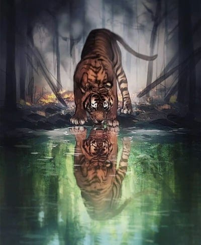 water,tiger,lake,art
