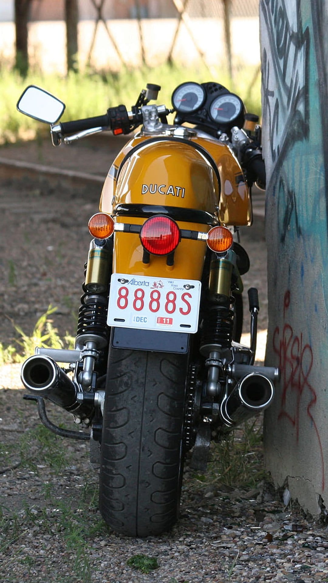 Yellow Ducati motorcycle rear view featuring a chrome exhaust and Alberta license plate against a graffiti wall.