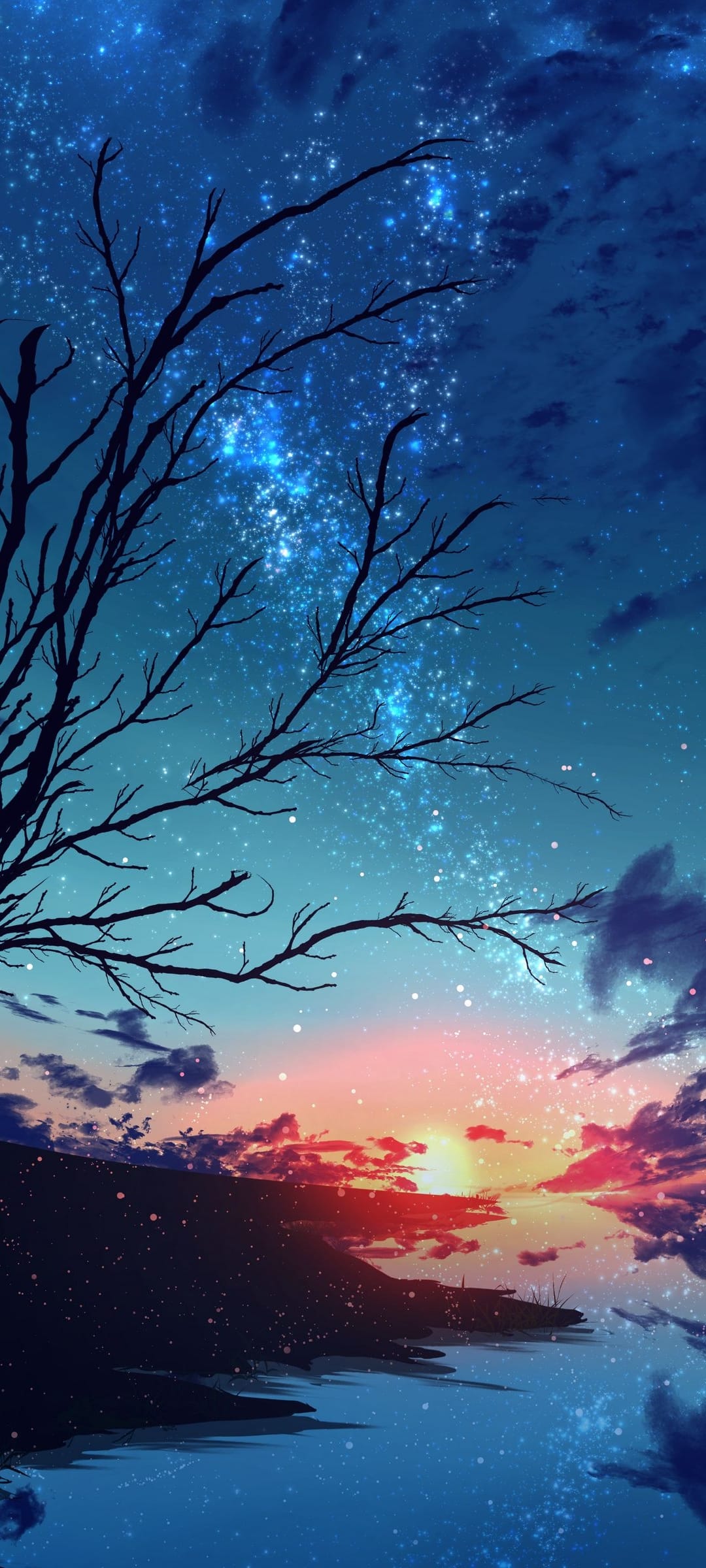 Bare tree silhouette against a starry night sky and orange sunset reflecting on calm ocean waters at dusk.