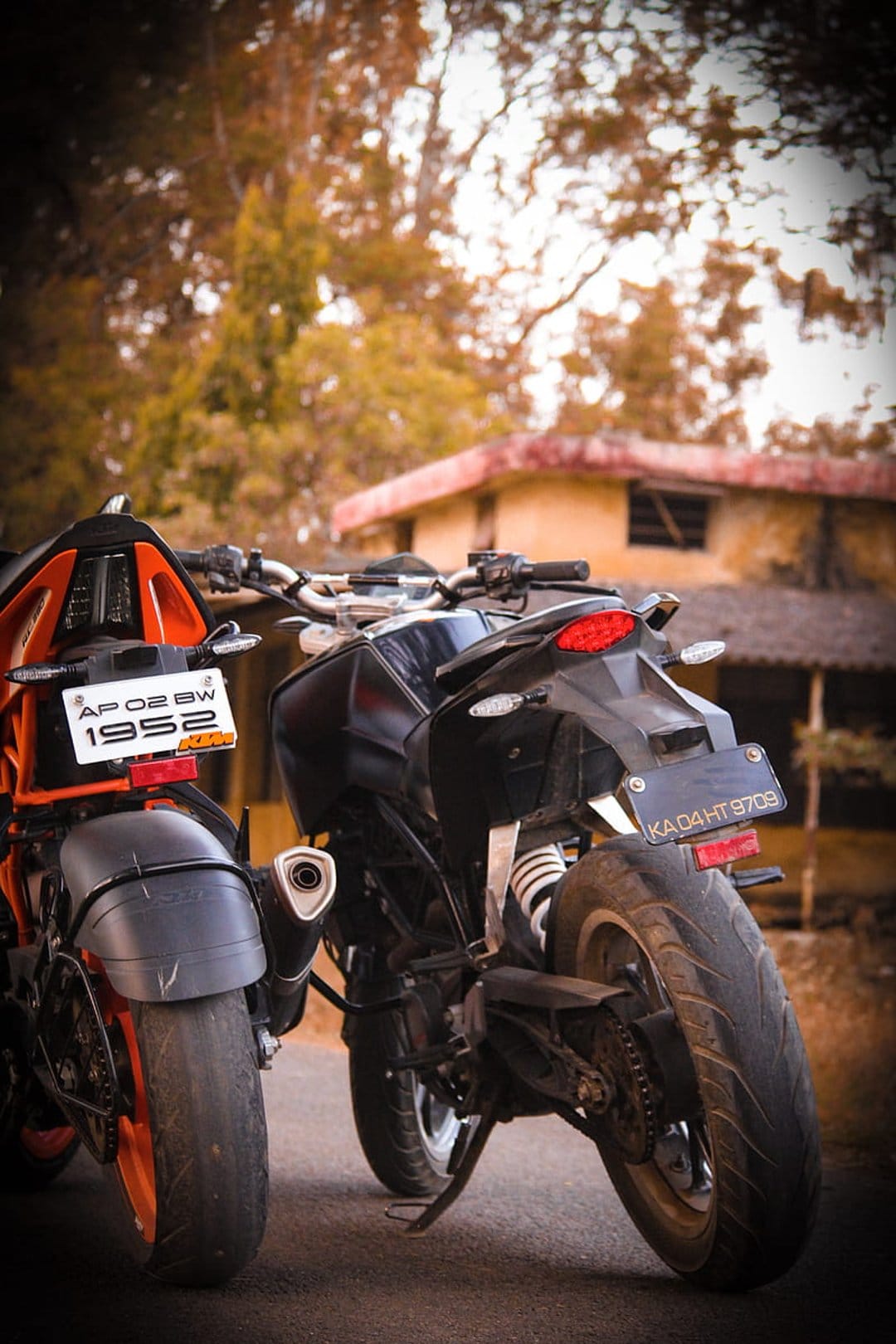 Two KTM Duke motorcycles park on a paved surface with autumn trees and a rustic building in the background.