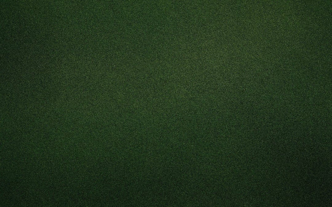 Dark green mossy texture with a central glow and soft vignette shadows darkening the outer edges of the frame.