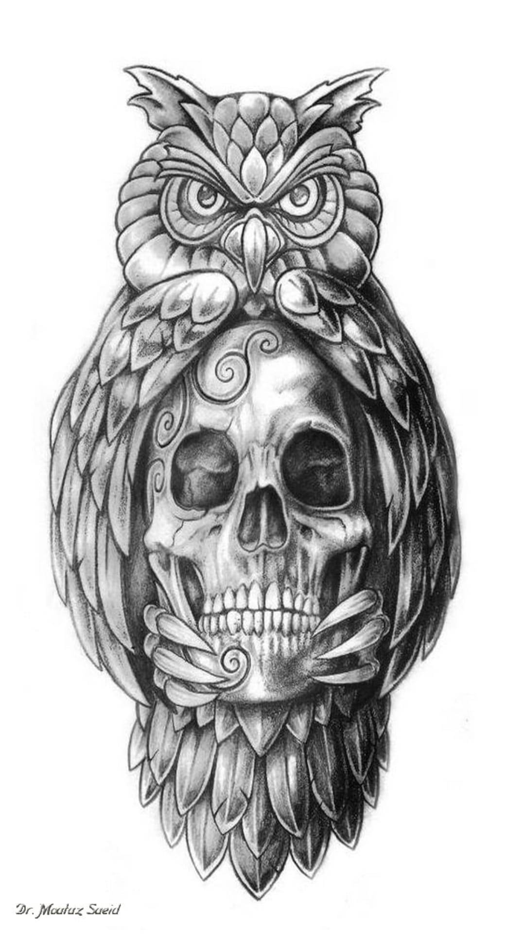 Owl perched on a human skull with ornamental swirls and detailed feathers in a black and white pencil sketch.