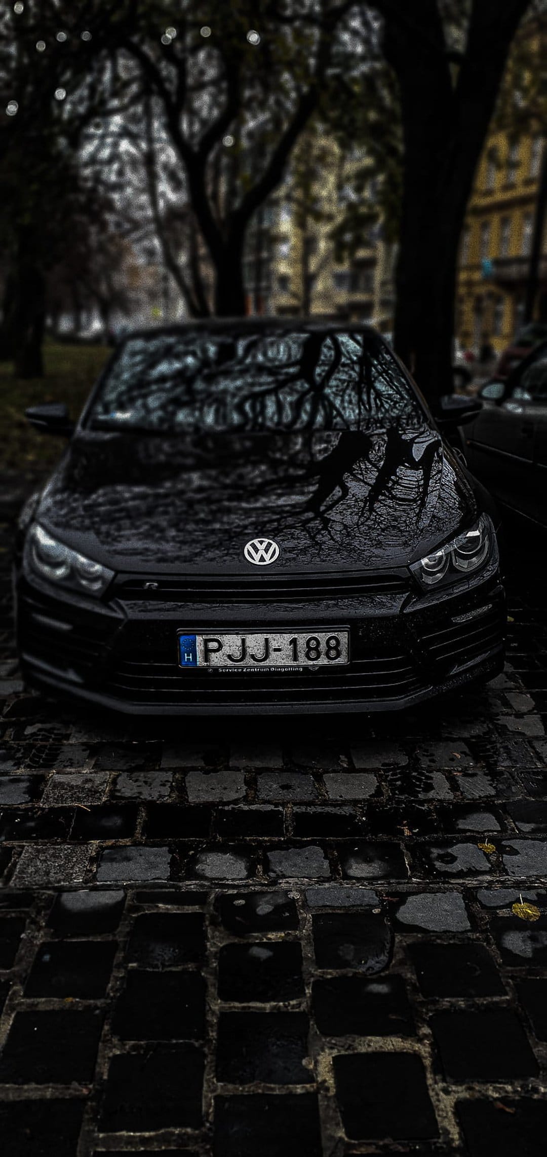 Black Volkswagen Scirocco parked on wet cobblestones with tree reflections on its glossy dark exterior.