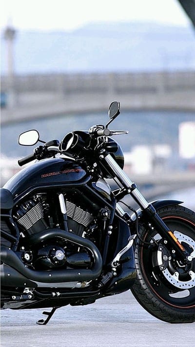 Bike, cafe, emblems, king, motor, motorcycle, racer, street, triumph, mobile wallpaper, android wallpaper, iPhone wallpaper, phone wallpaper