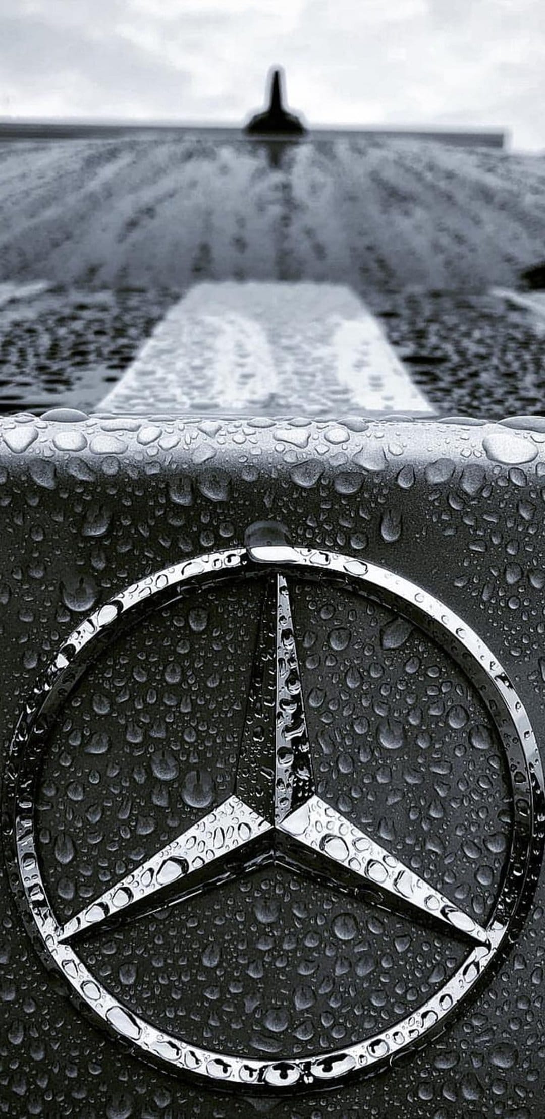 Mercedes-Benz chrome star emblem covered in tiny water droplets on a dark, reflective car hood in monochrome.