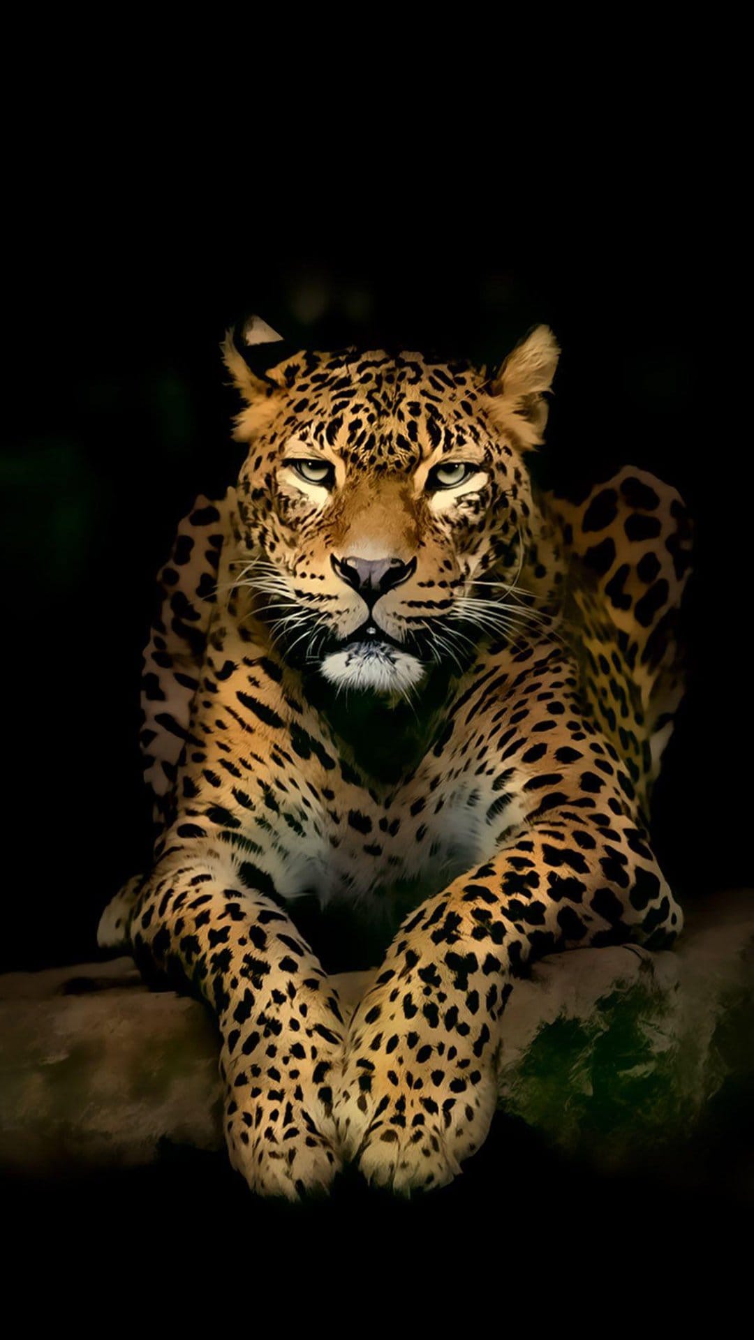 Leopard face with luminous green eyes and detailed spotted fur peering out from a solid black background.