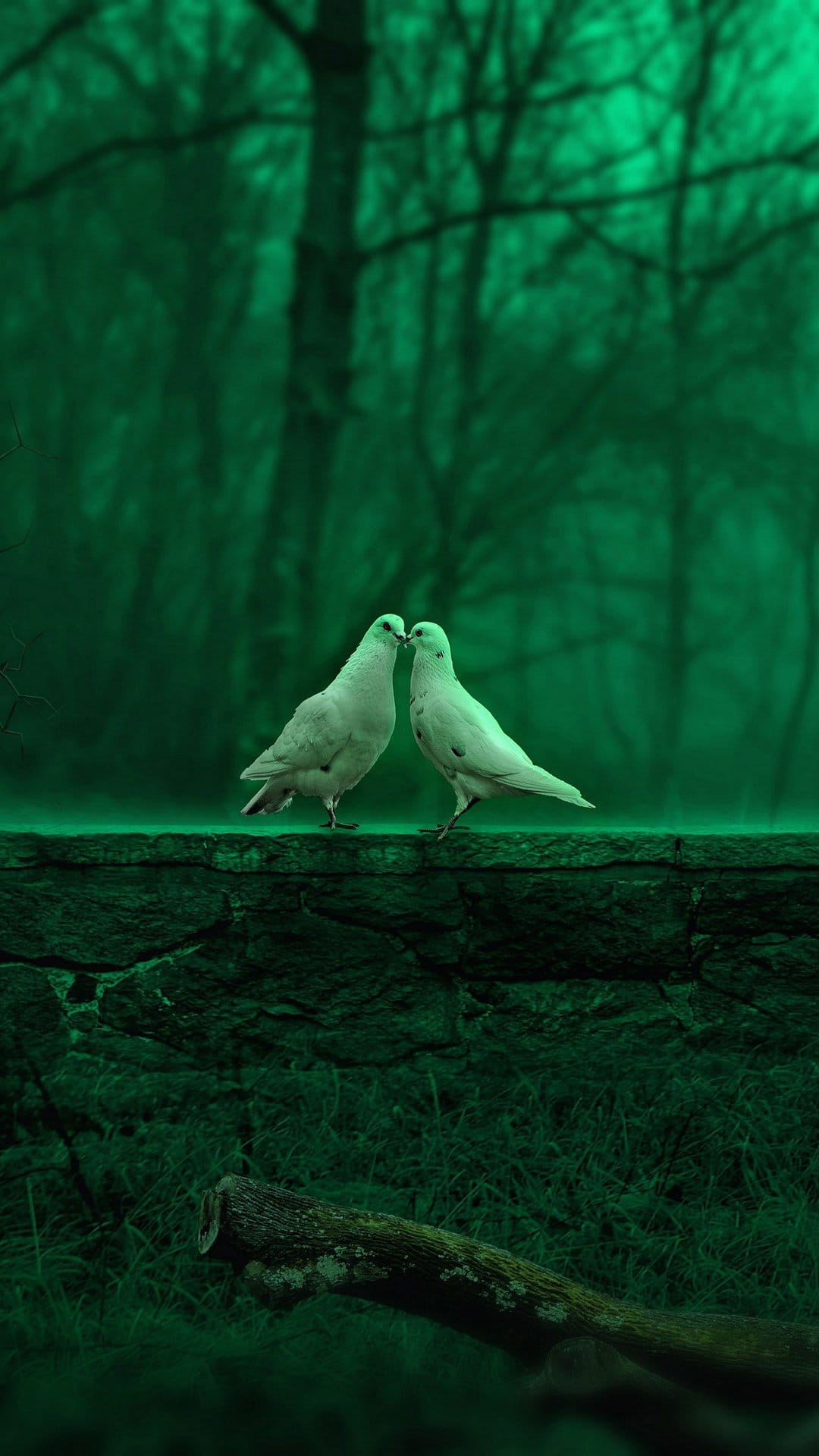 Two white doves perched on a weathered stone wall within a dark emerald forest near a fallen wooden log.