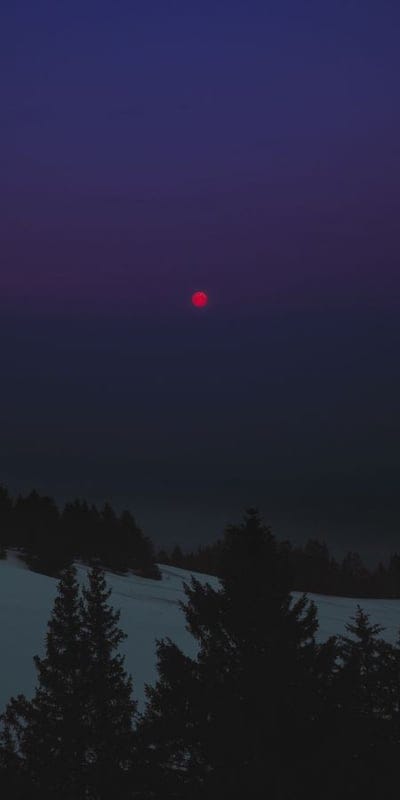Red moon, Winter scene, Ethereal, Twilight, Snow, Landscape, Night sky, Trees, Mysterious, Cold, Atmospheric, Celestial, Natural phenomenon, Serene, Dark, Outdoor, Unique, Snowy landscape, Purple sky, Blue sky