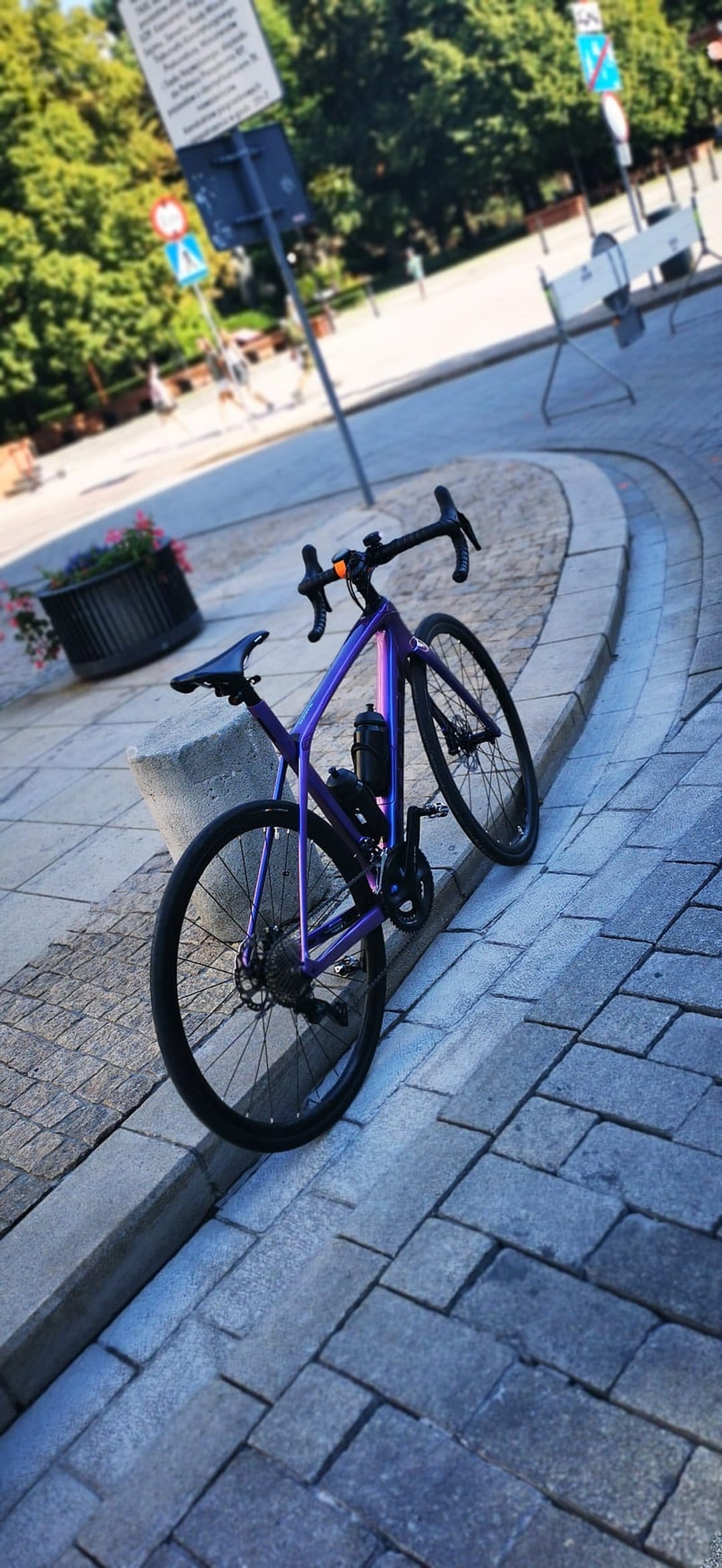 Purple road bike parked on a gray cobblestone street near green park trees and pink flowers in sunlight.
