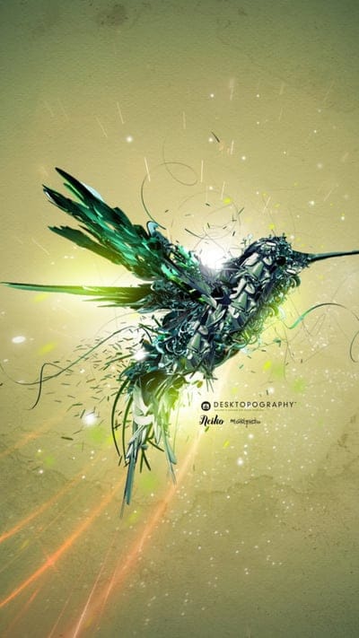 Green Bird Art, birds,green,digital art 