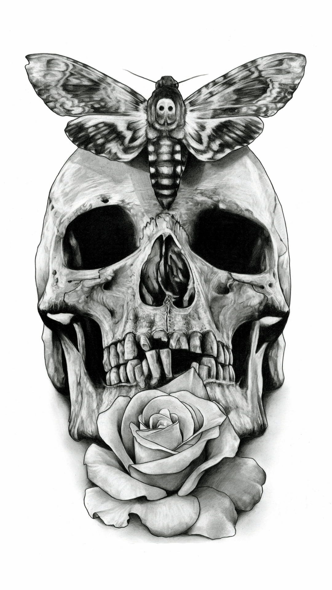 Death's-head hawkmoth perched on a human skull with a blooming rose below in a detailed monochrome ink style.
