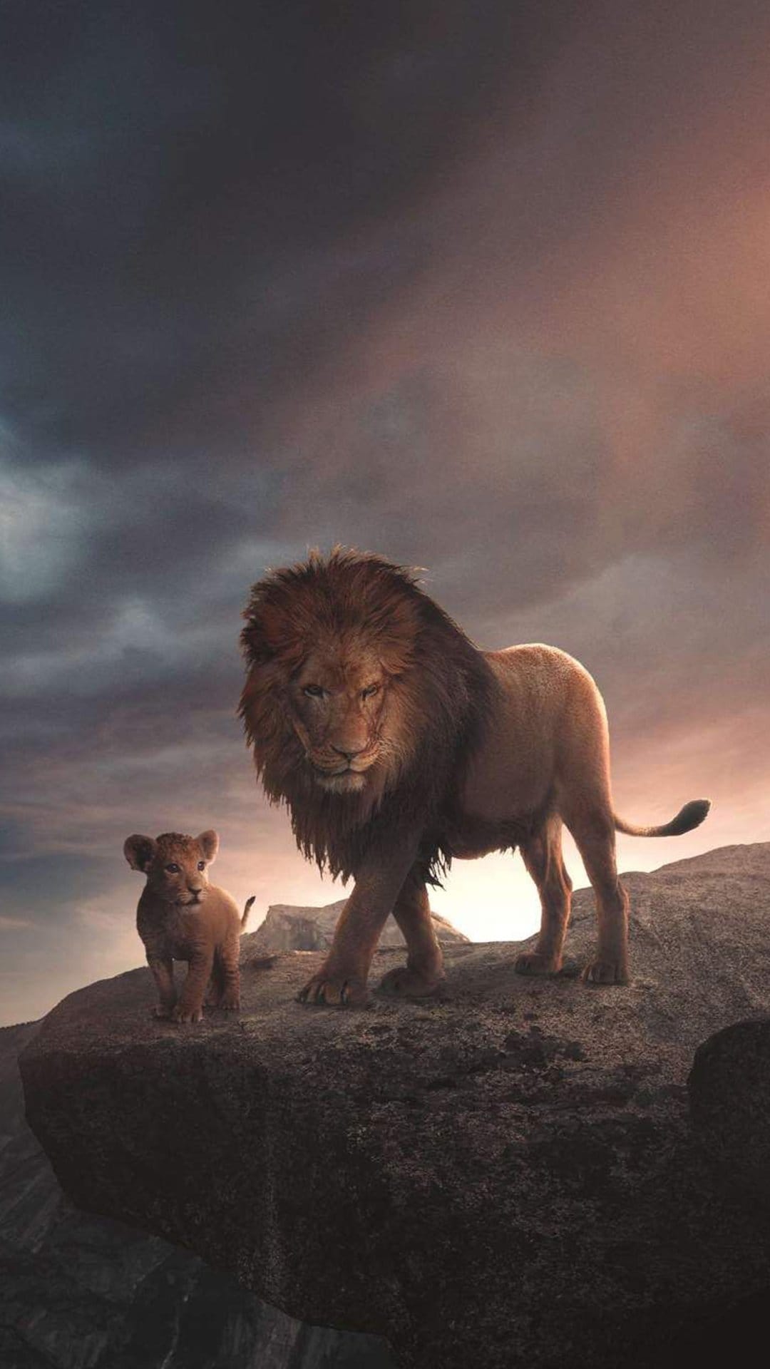 Adult lion and small cub stand on a rocky cliff edge silhouetted against a dramatic cloudy sunrise sky.