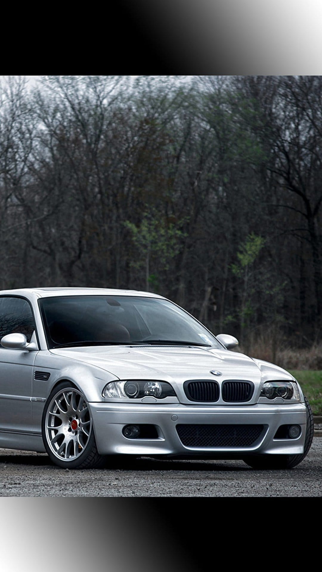 Silver BMW M3 E46 coupe with aftermarket wheels parked on a gravel road surrounded by dense green forest trees.