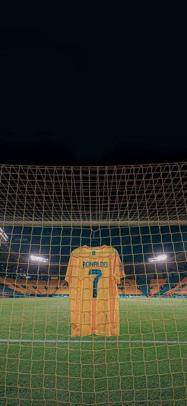 goal,net,t-shirt,ronaldo,football