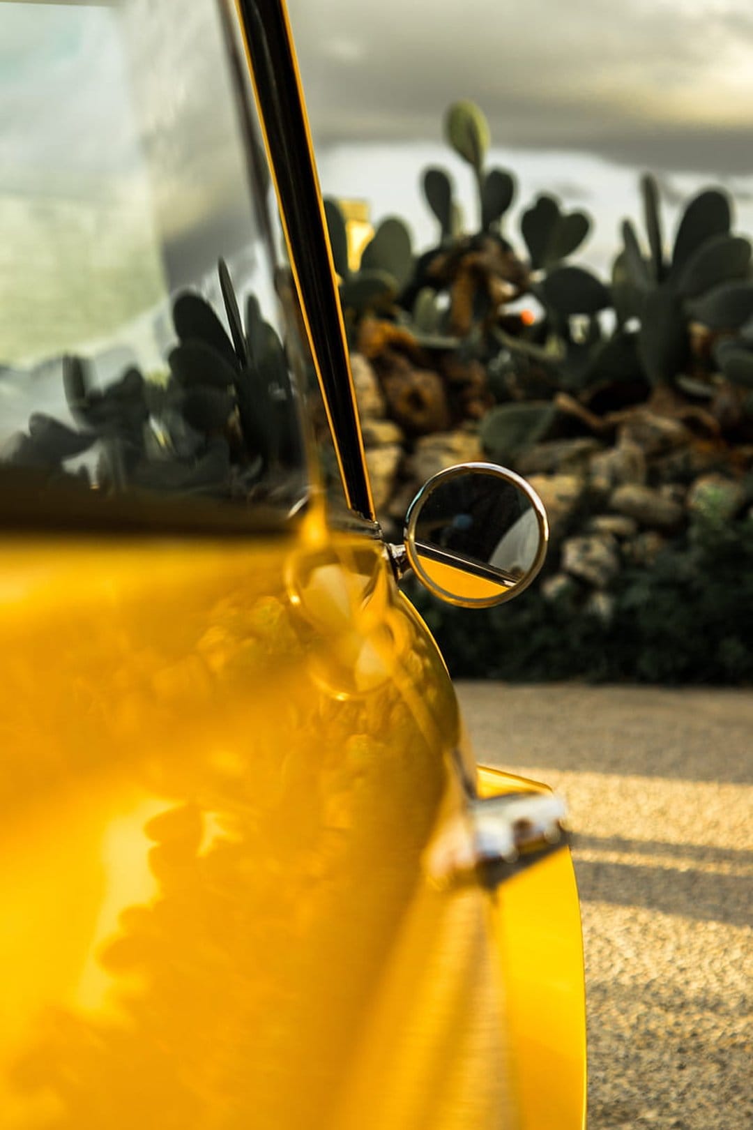 Vintage yellow car side mirror reflecting prickly pear cacti and rocky desert terrain during golden hour.