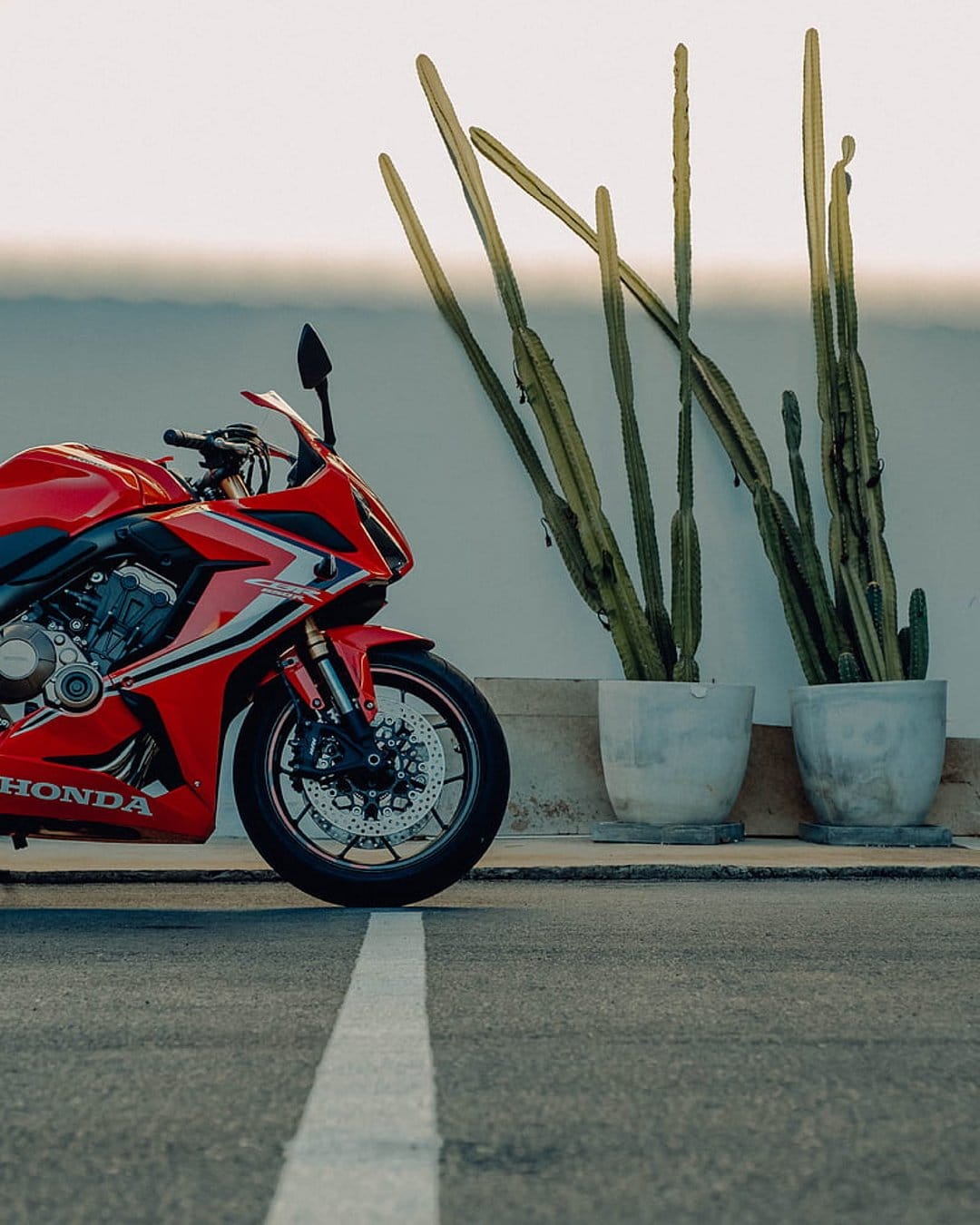 Red Honda sportbike parked on asphalt next to tall cacti in planters against a soft desert horizon background.
