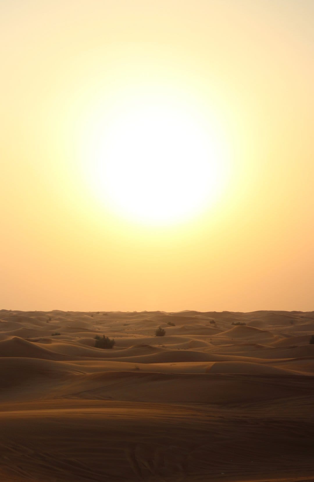 Golden sand dunes with deep shadows and sparse shrubs under a glowing orange sun and hazy sky in the distance.