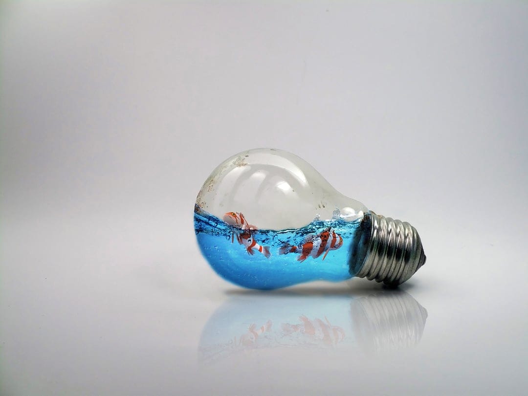 Orange clownfish swim through blue water inside a glass light bulb resting on a reflective white base.