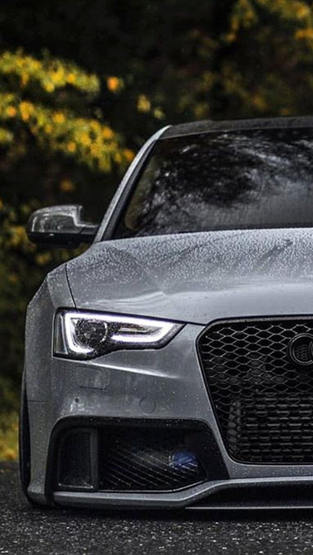 Grey Audi RS5 front bumper and LED headlights covered in raindrops on a wet road with blurred green foliage.