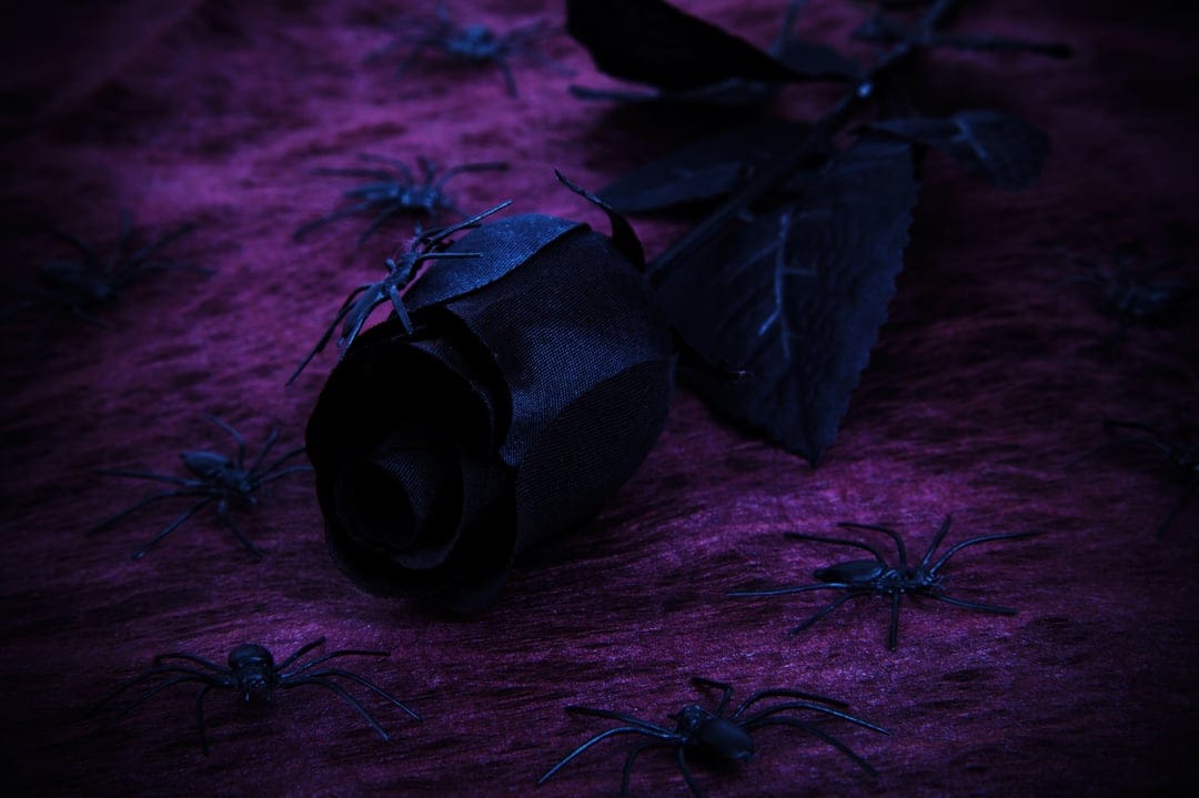 Black rose petals surrounded by tiny spiders on a textured purple velvet surface with moody, dramatic shadows.