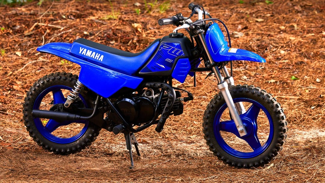 Blue Yamaha PW50 dirt bike with knobby tires parked on a bed of brown pine needles in natural daylight.