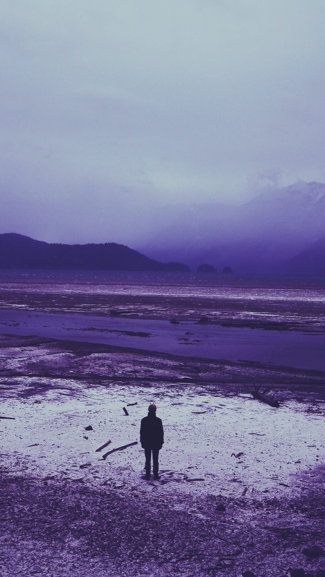 A small person stands on a wide purple beach facing distant mountains under a cloudy, overcast sky.