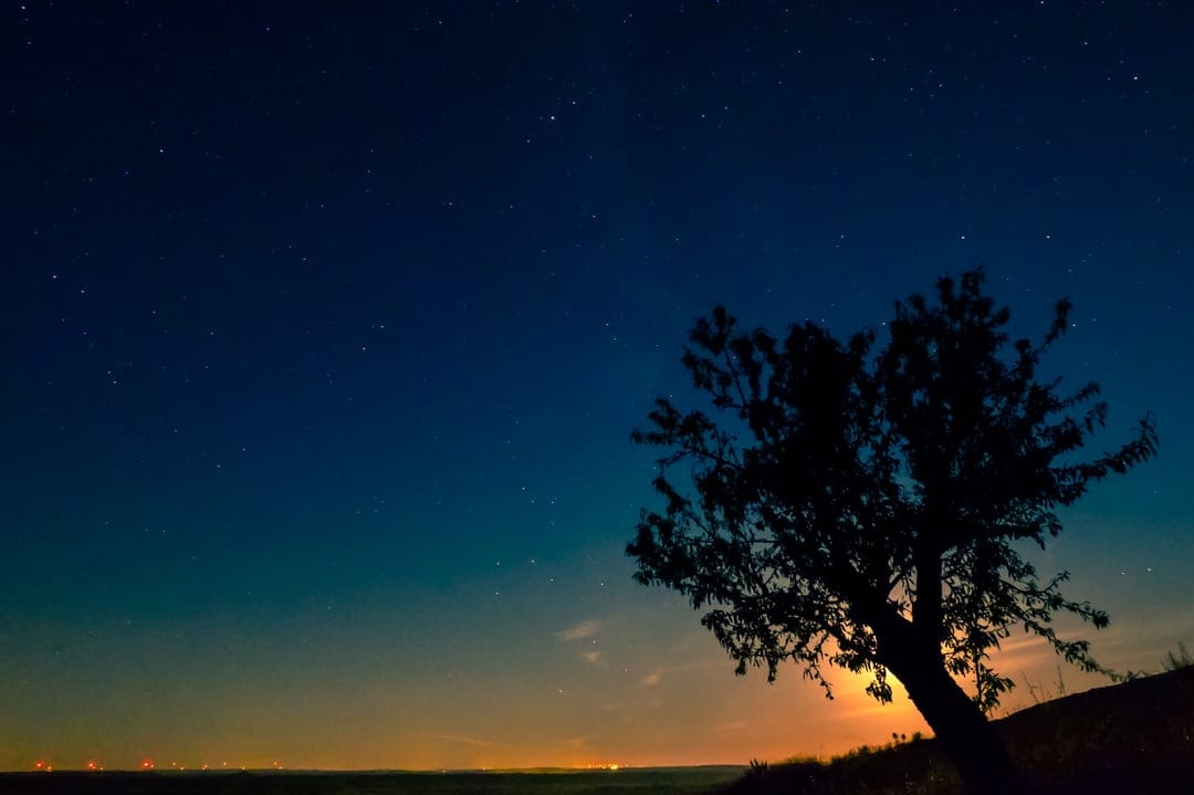 Solitary tree silhouette on a hill against a starry indigo sky and orange sunset horizon during twilight.