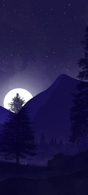 aesthetic