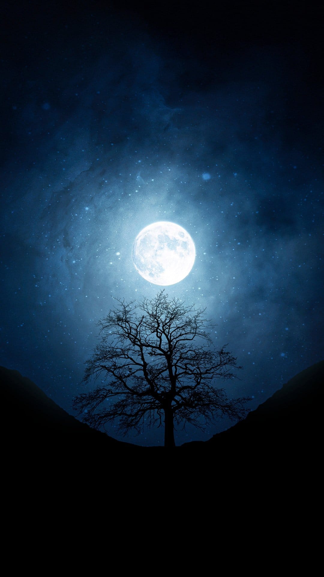 Lone leafless tree stands silhouetted against a large glowing full moon and a vast star-filled night sky.