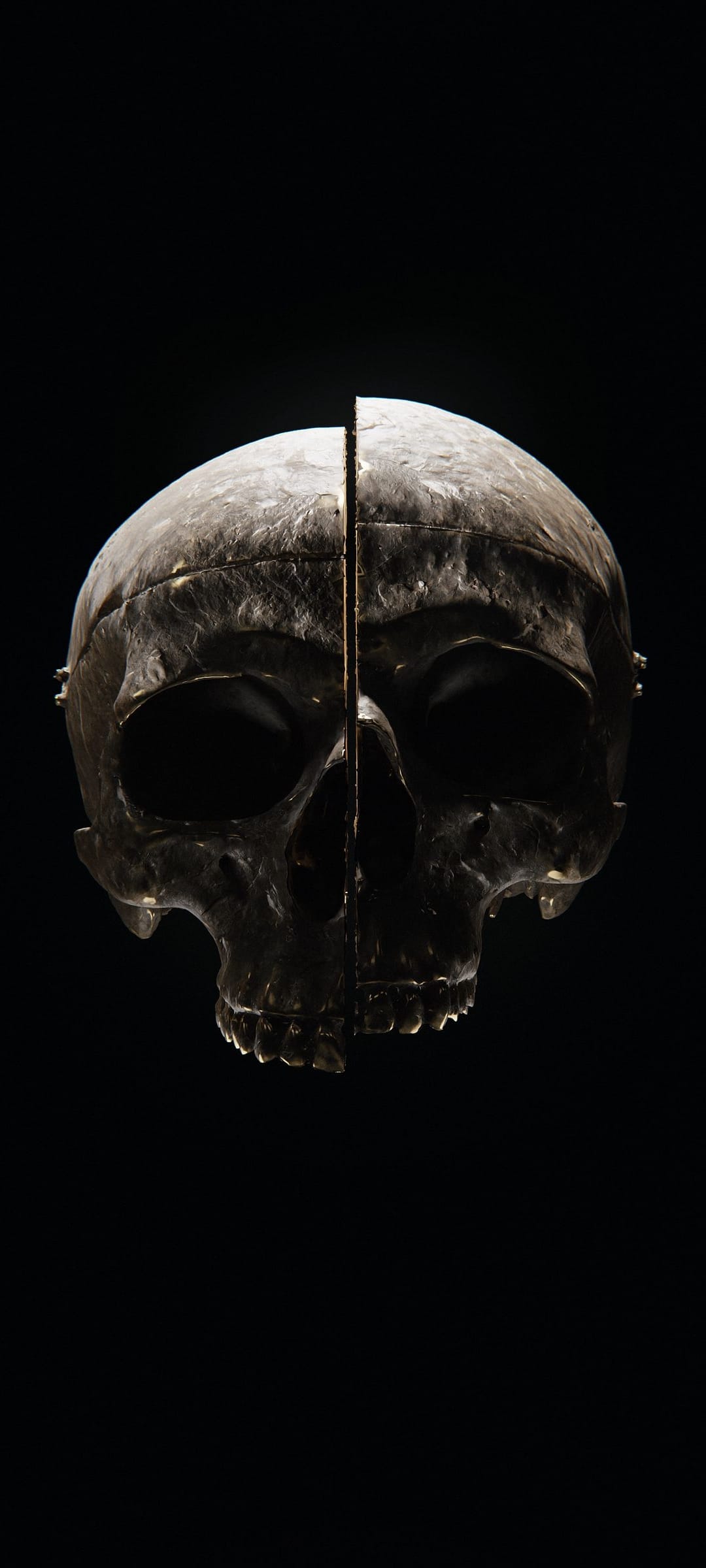 Metallic human skull split vertically in half showing internal bone textures against a solid black background.