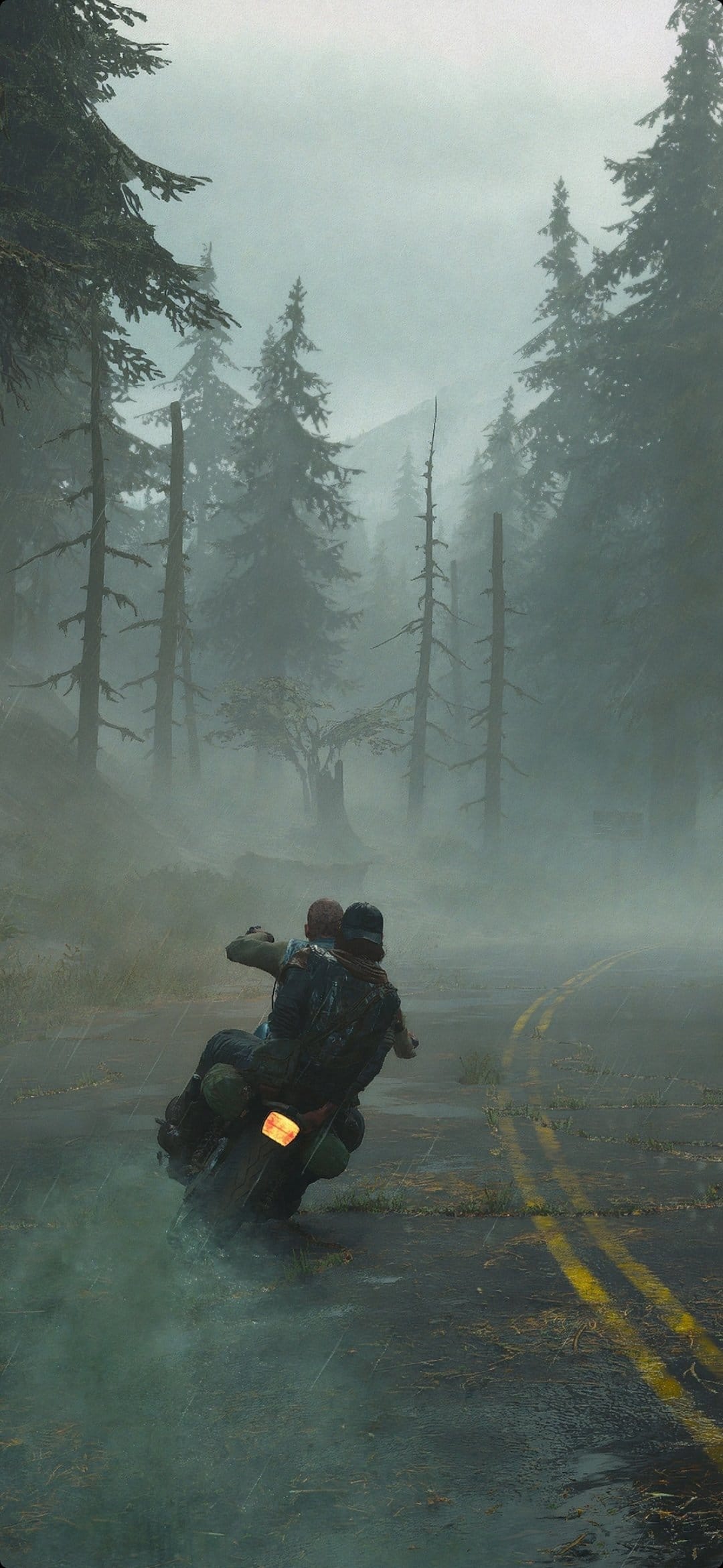 Man and woman ride a vintage motorcycle down a foggy asphalt road lined with tall trees in a gloomy forest.