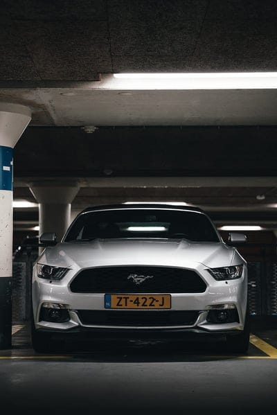 ford mustang, mustang, car, white, front view, mobile wallpaper, android wallpaper, iPhone wallpaper, phone wallpaper