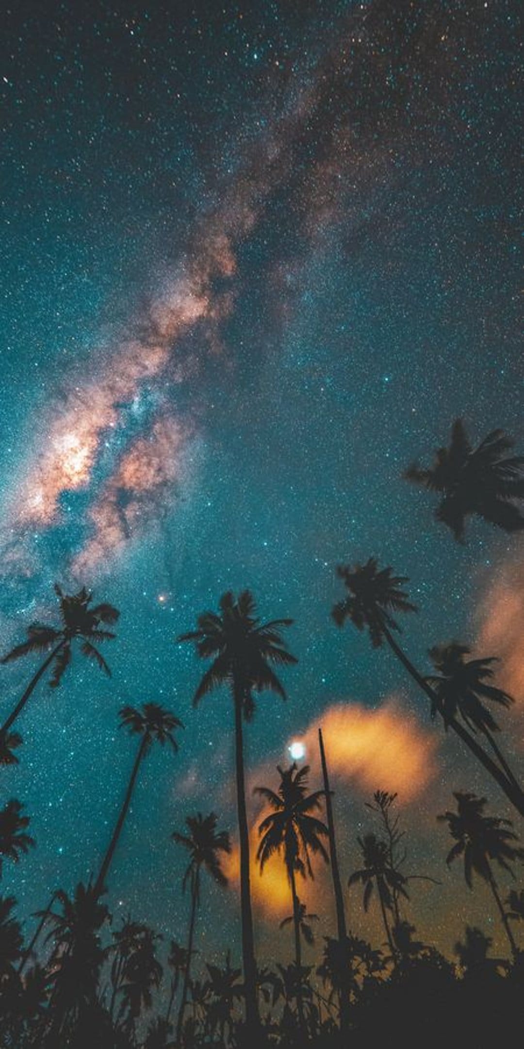 Milky Way galaxy with purple and blue nebula clouds seen through dark silhouetted palm tree fronds at night.