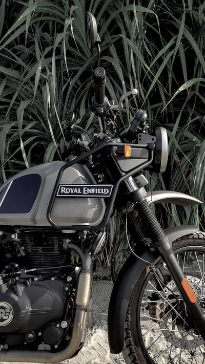 Royal Enfield Live, Himalayan With Grass Background, himalayan bike, grass background, bike, mobile wallpaper, android wallpaper, iPhone wallpaper, phone wallpaper
