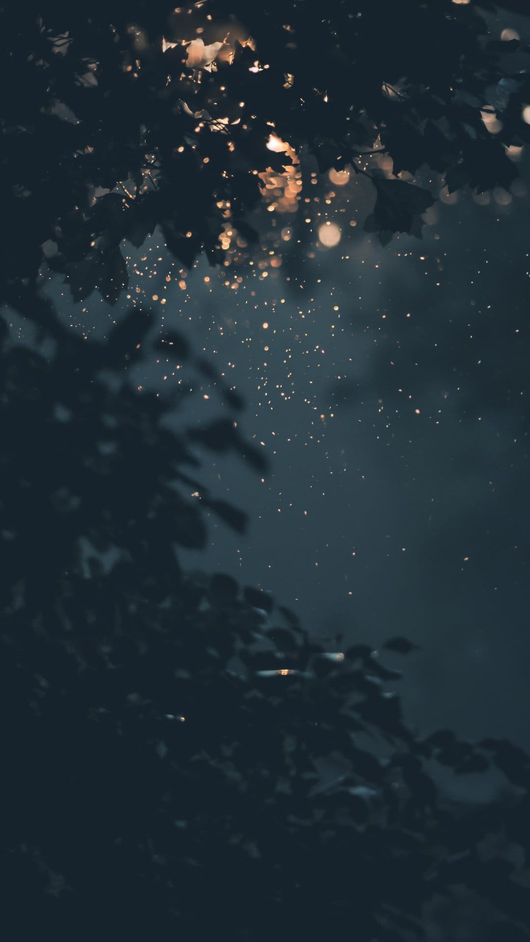 Sparkling gold lights flicker between dark leaf silhouettes against a deep blue midnight sky background.