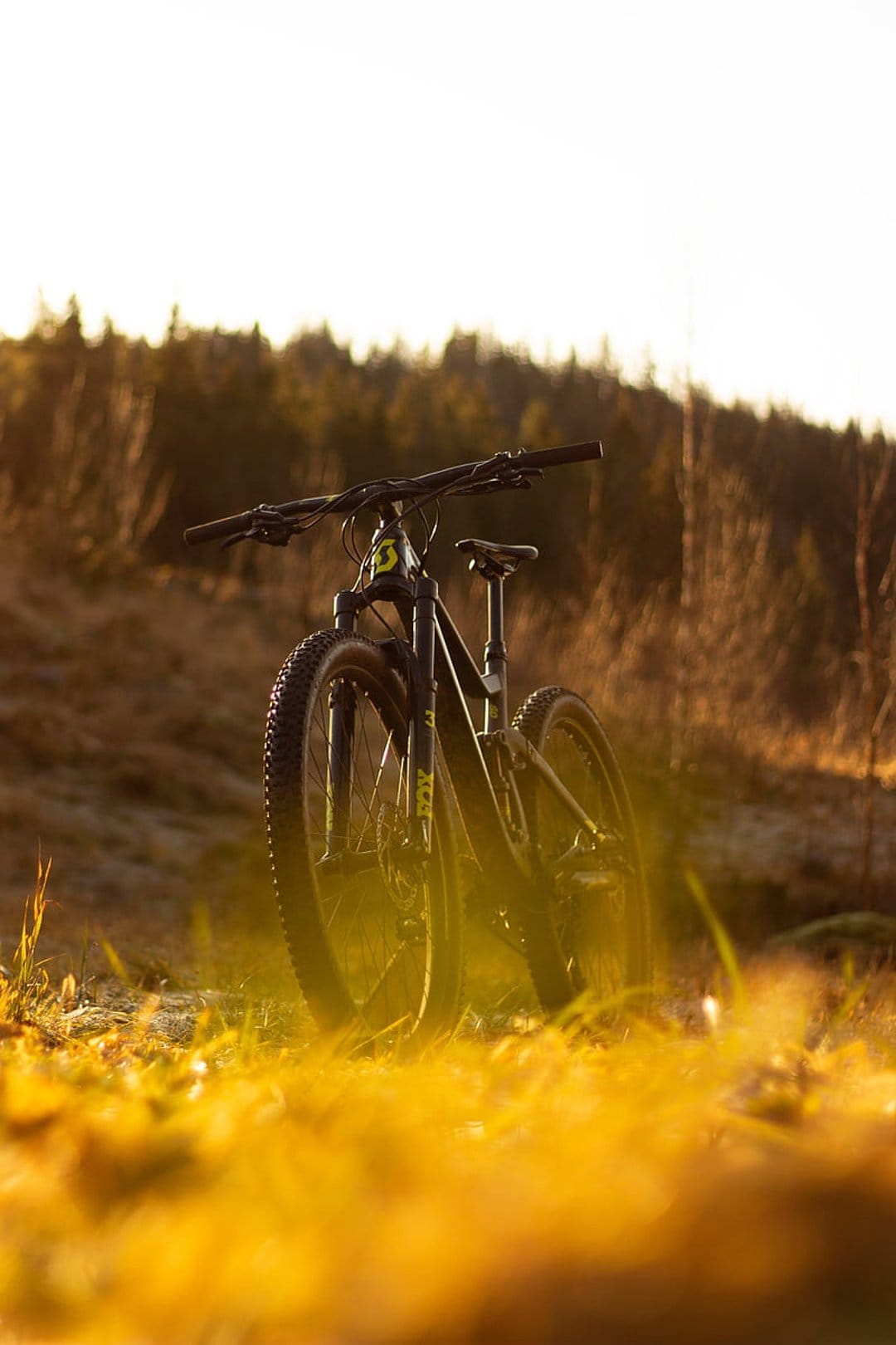 Black mountain bike parked on a grassy hill under warm golden sunlight with a dense forest background.