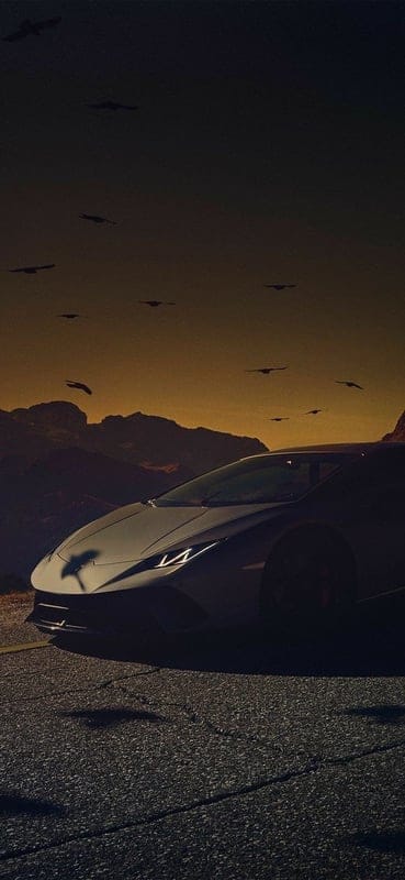 Lamborghini car, air, car, carros, horizon, lamborghini, logo, sports car, sunset, super car, transport, mobile wallpaper, android wallpaper, iPhone wallpaper, phone wallpaper