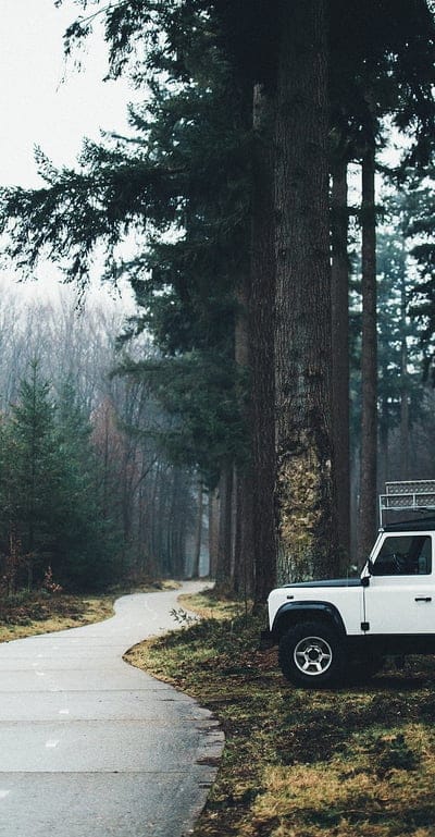 car, suv, white, road, forest, mobile wallpaper, android wallpaper, iPhone wallpaper, phone wallpaper