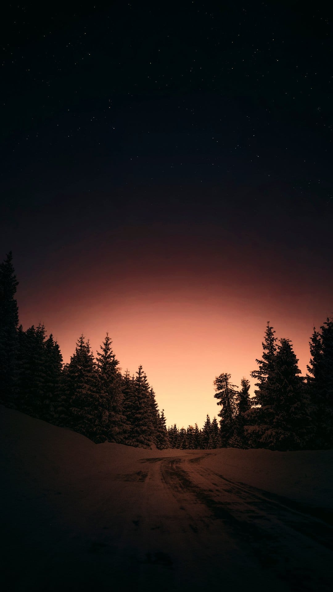 Snowy forest road winding between dark pine trees under a starry orange and blue twilight sky in winter.