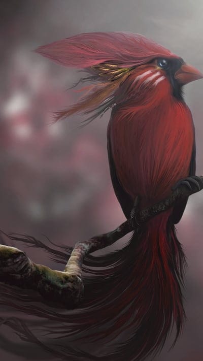 Red Bird Digital Art, bird, artist, digital art