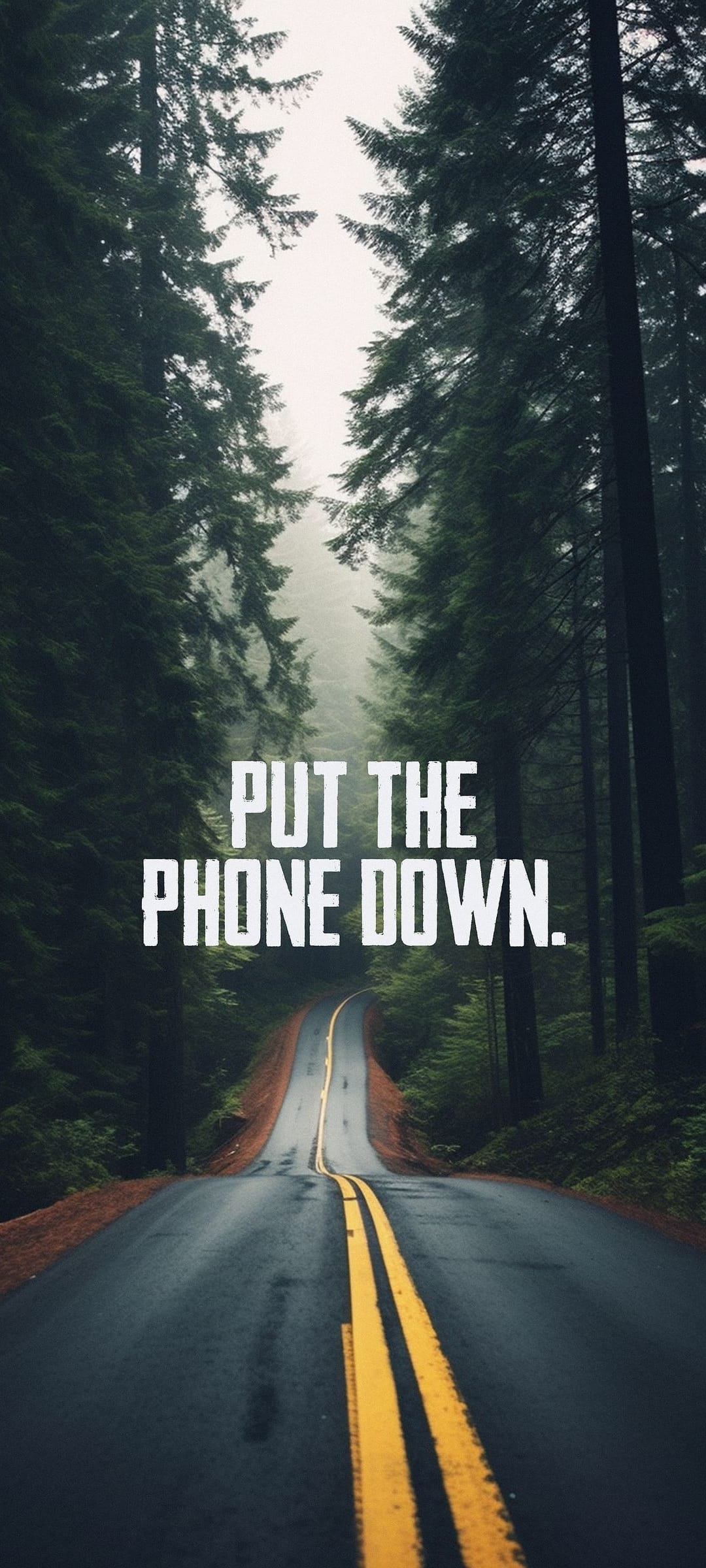 Winding forest road with double yellow lines and misty evergreen trees featuring Put The Phone Down text overlay.