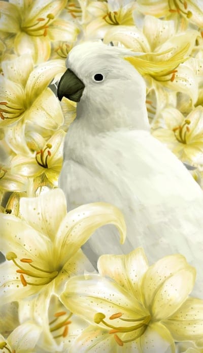 parrot,bird,lilies,art