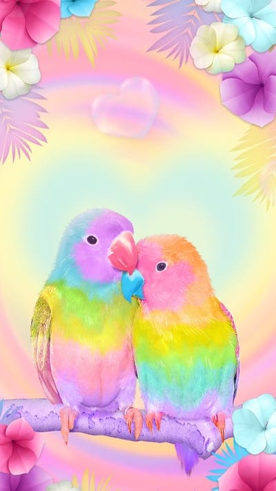 Lovebirds , love, birds, pastal, colourful, rainbow, pretty, tropical