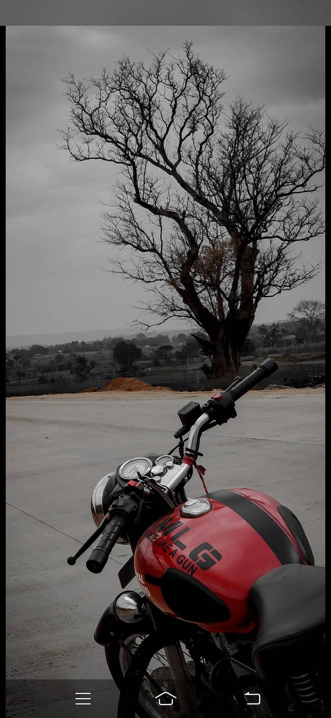 Red motorcycle with black stripes parked on pavement next to a large bare tree under a heavy gray sky.